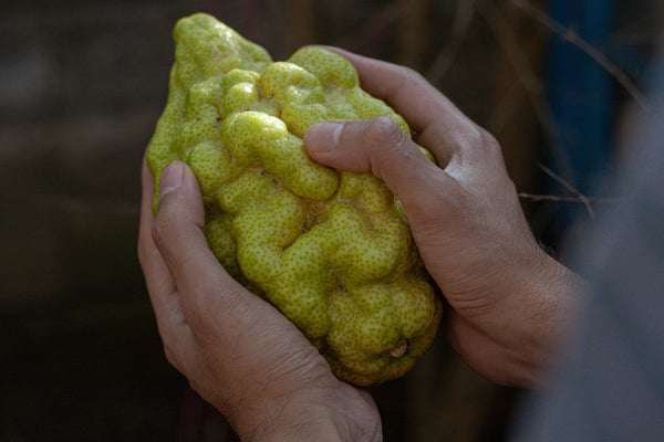 Citron Benefits for Men’s Skin You Should Know